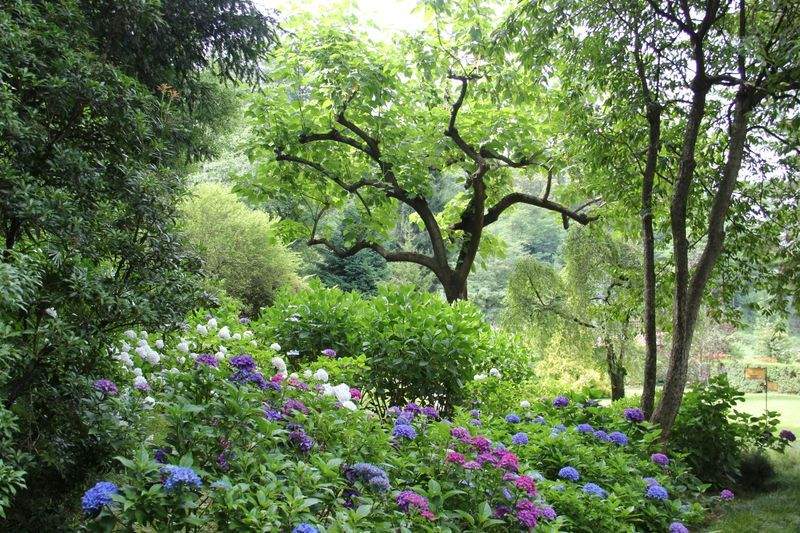 Renovación estacional del jardín para el patio de una pequeña oficina