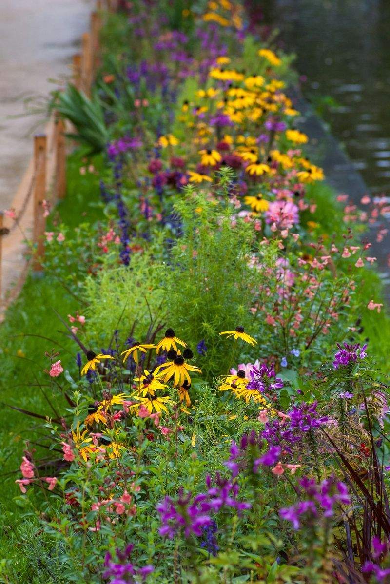 VerdeVivo Jardinería SP 2
